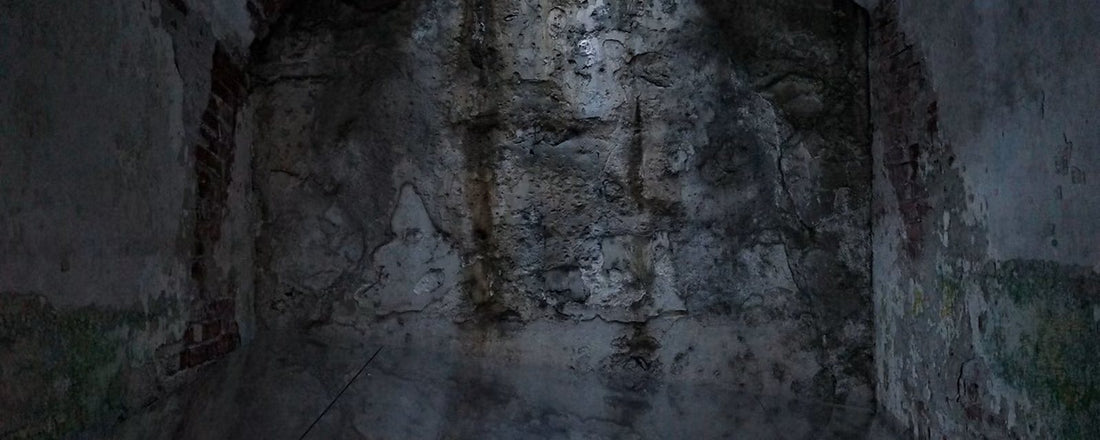 Murs humides et dégradés dans une cave ancienne