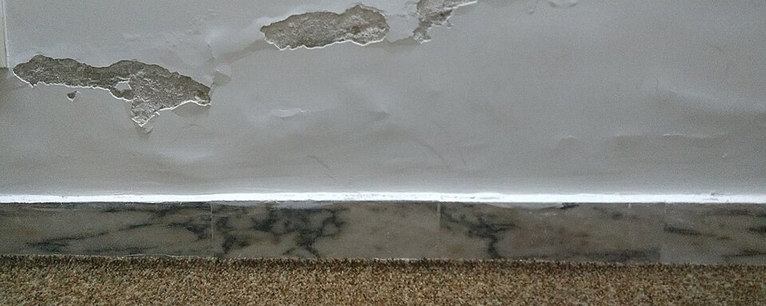 Dégradation de peinture et d’enduit au bas d’un mur humide