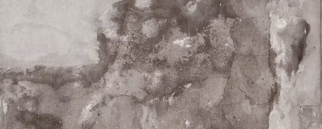 Traces d’humidité et enduit dégradé sur un mur intérieur