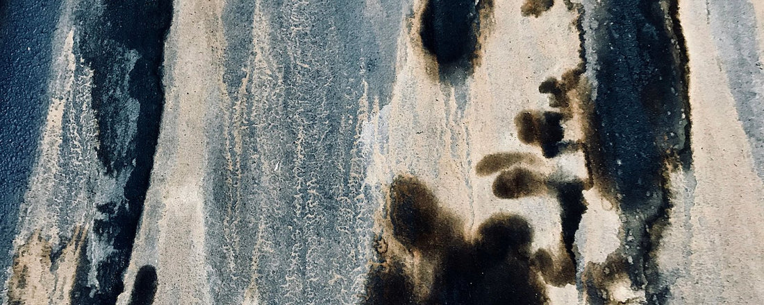 Taches de moisissure noire sur un mur