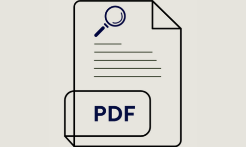 rapport etat des lieux